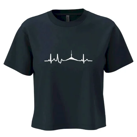 Ekg Jeseníky