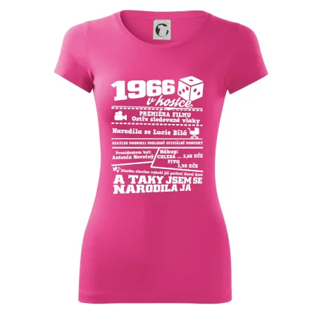1966 v kostce