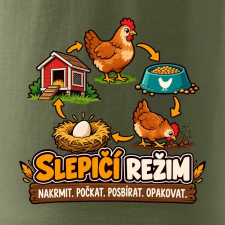 Slepičí režim od krmení po sběr vajec