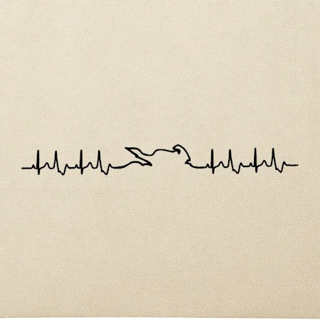 Moto EKG