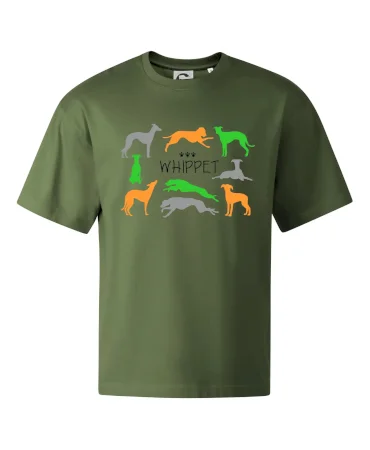 Whippet barevný