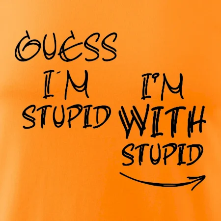 Guess iam stupid