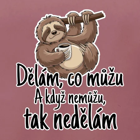 Dělám, co můžu. A když nemůžu, tak nedělám.