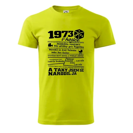 1973 v kostce