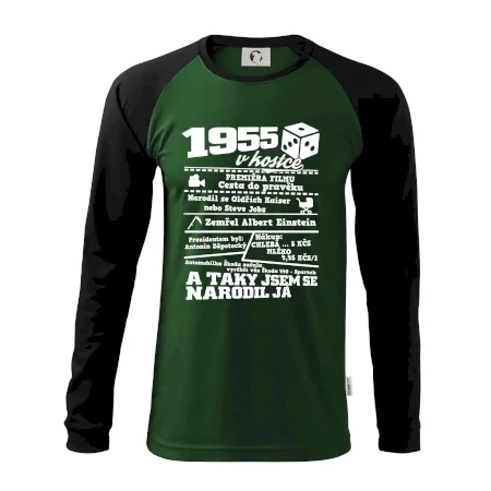 1955 v kostce