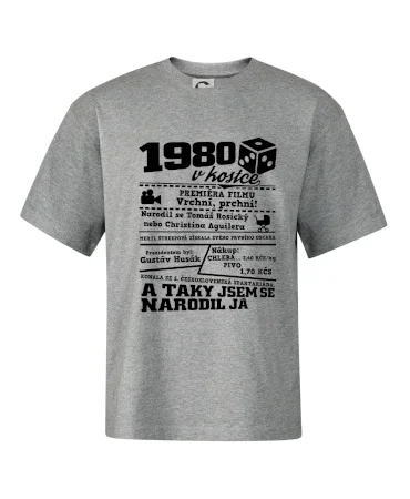 1980 v kostce
