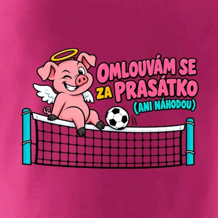 Nohejbalové prasátko na síti