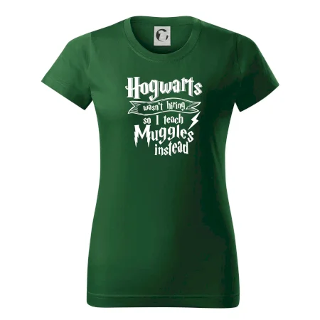 Harry - Hogwarts wasn’t hiring, so I teach Muggles instead