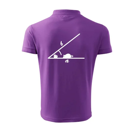 Matematická myš