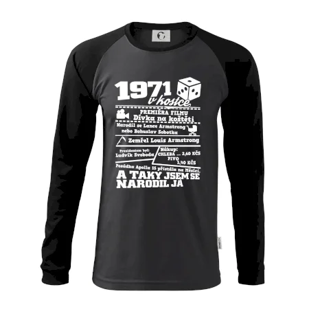 1971 v kostce