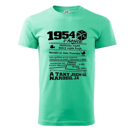 1954 v kostce