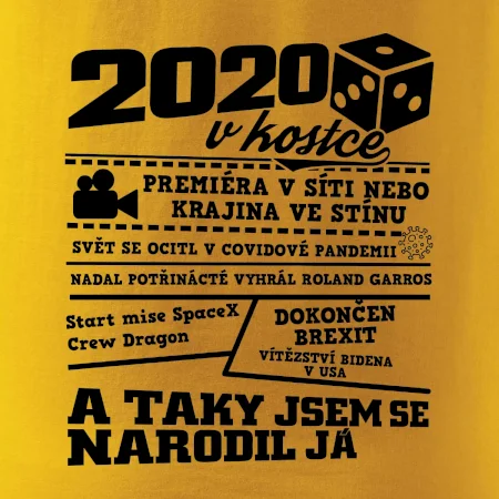 2020 v kostce