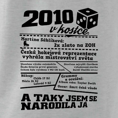 2010 v kostce