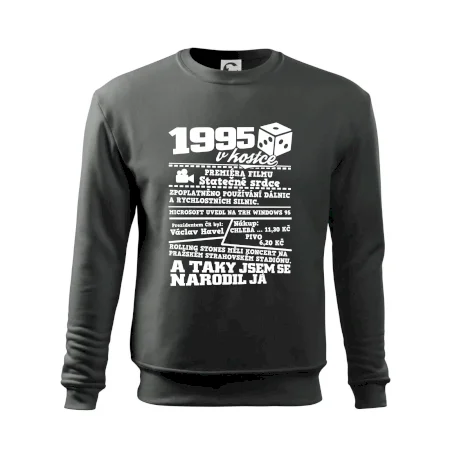 1995 v kostce