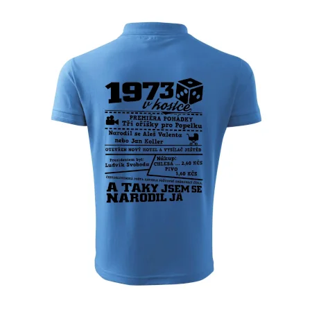 1973 v kostce