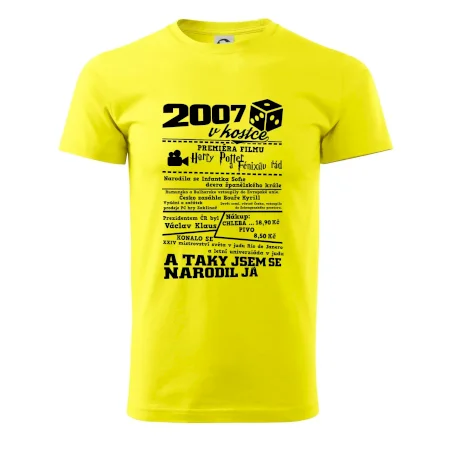 2007 v kostce