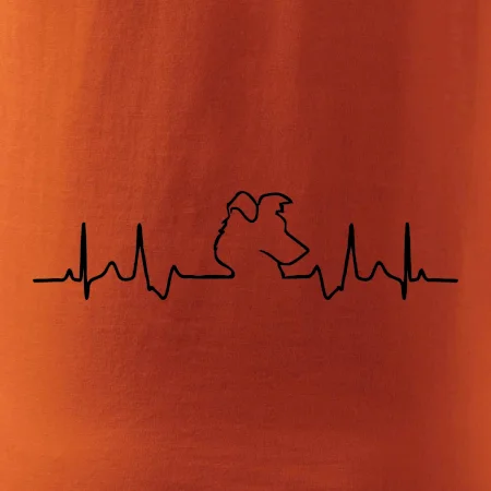 Border kolie EKG