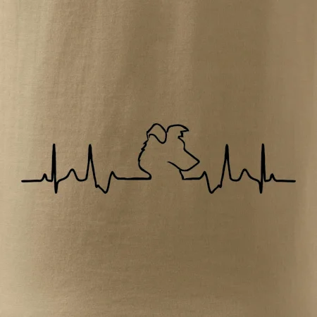 Border kolie EKG
