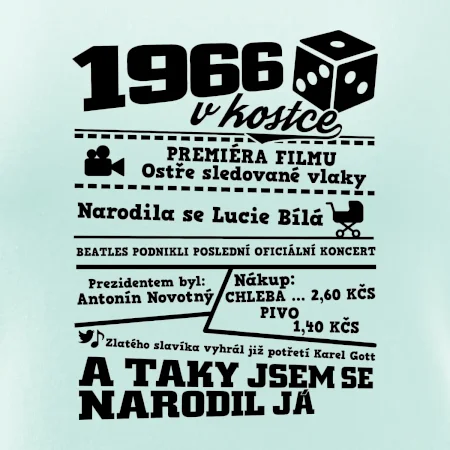 1966 v kostce