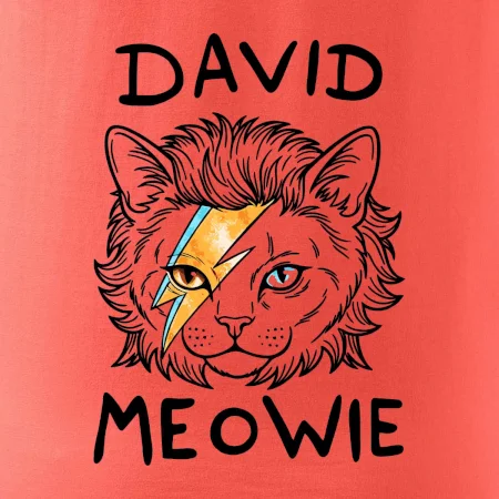 David Meowie