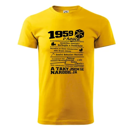1959 v kostce
