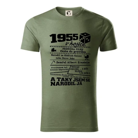 1955 v kostce