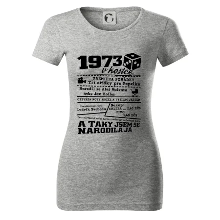 1973 v kostce