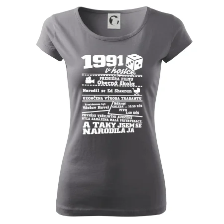 1991 v kostce