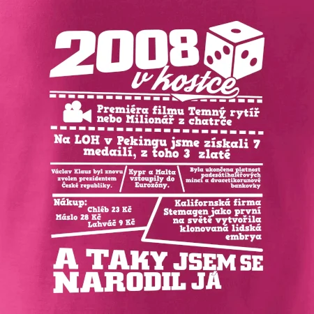 2008 v kostce