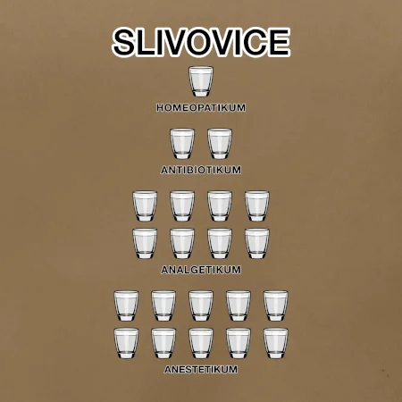 Slivovice počítání (Hana-creative)