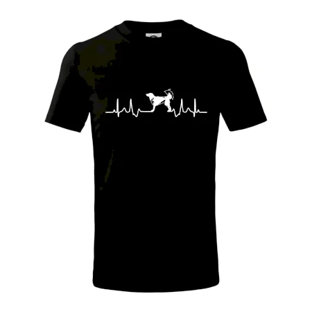 Český strakatý pes EKG