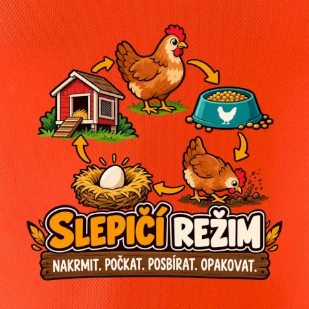 Slepičí režim od krmení po sběr vajec