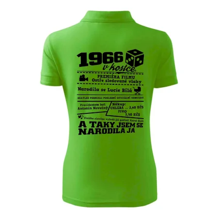 1966 v kostce