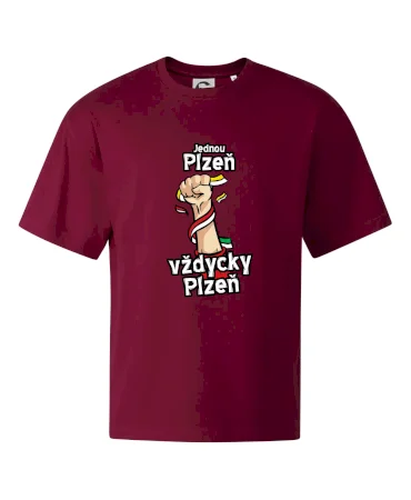 Jednou Plzeň vždycky Plzeň