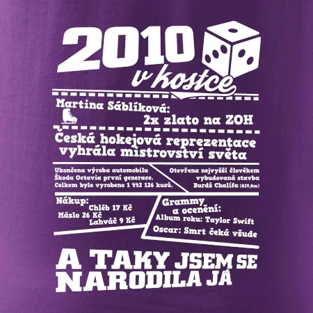 2010 v kostce