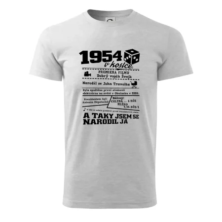 1954 v kostce