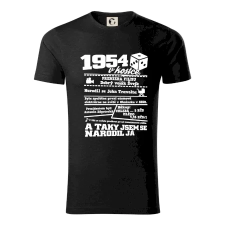 1954 v kostce