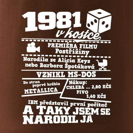 1981 v kostce