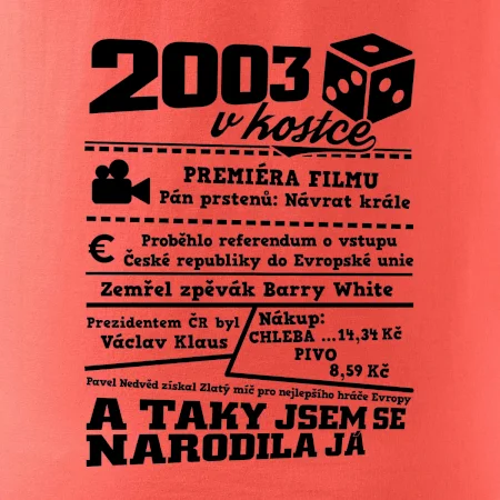2003 v kostce