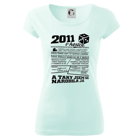 2011 v kostce