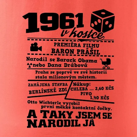 1961 v kostce