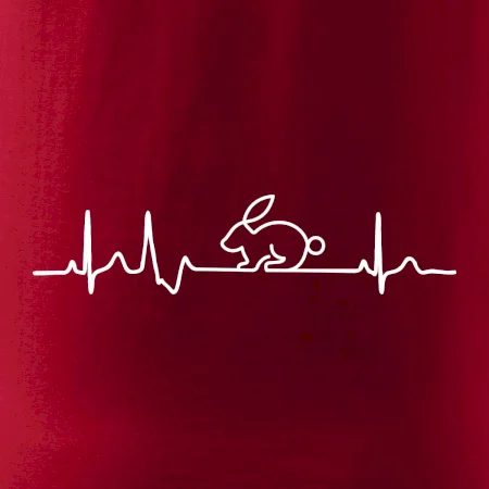 EKG králík