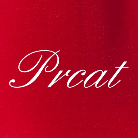 Prcat (souložit vulgárně)