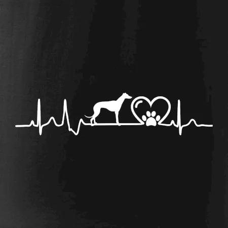 Chrt - Ekg