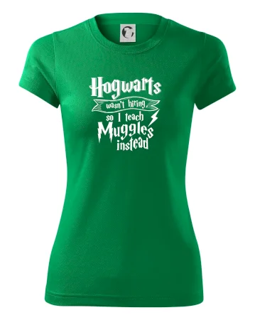 Harry - Hogwarts wasn’t hiring, so I teach Muggles instead