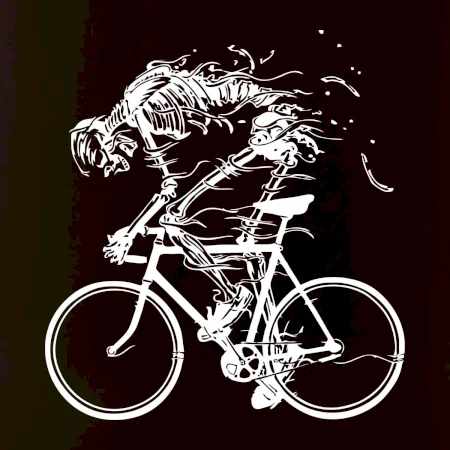 Cyklo kostra