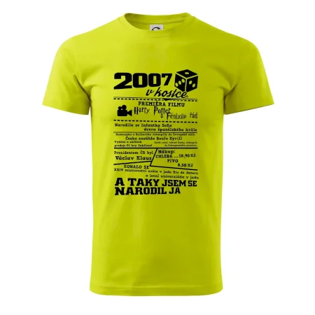 2007 v kostce