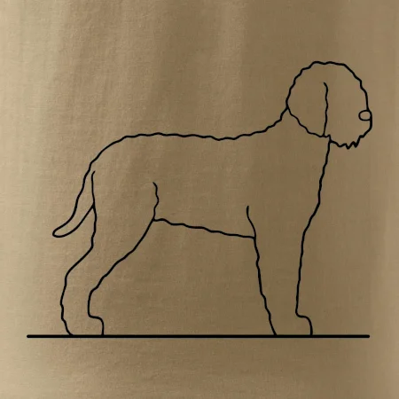 Lagotto romagnolo stojící
