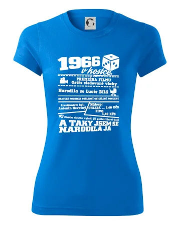1966 v kostce