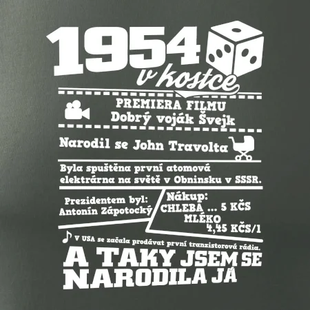 1954 v kostce